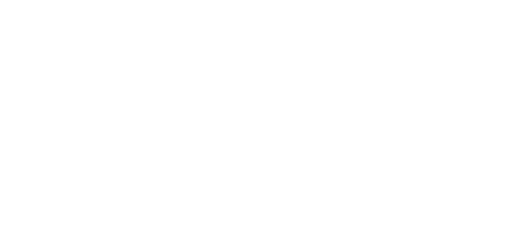 Equine Practice